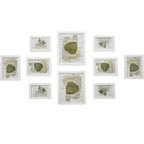 SONGMICS set rame foto 10 buc, 28x24 / 21x16 / 18x13 cm, alb, montaj perete sau birou, MDF si plastic