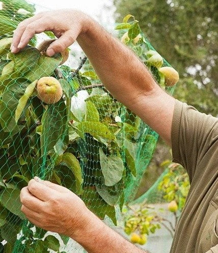 Plasa anti pasari 4x5m din polietilena, verde