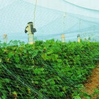 Plasa anti pasari 4x5m din polietilena, verde