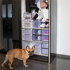 Set 10 cutii organizare pentru pantofi, 34x22x13, transparent