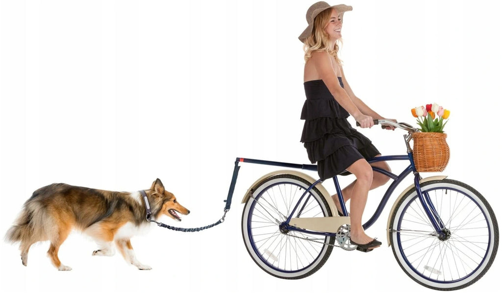 Lesa hands-free de caini pentru bicicleta, , Negru