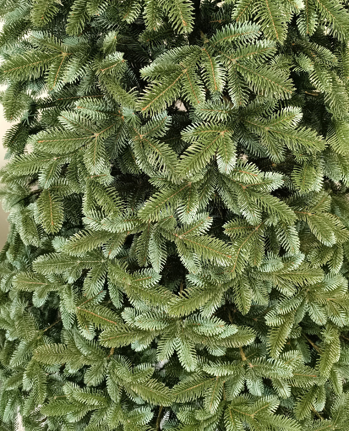 Brad artificial Christmas Deluxe by , Canada argintiu, 3D, 250cm