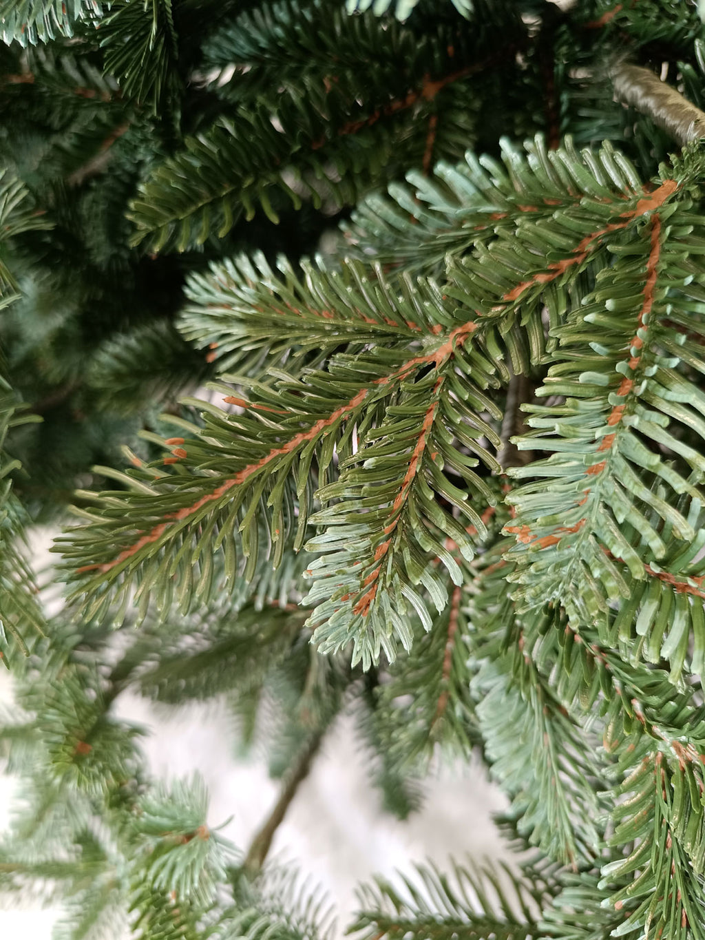 Brad artificial Christmas Deluxe by , Canada argintiu, 3D,180cm