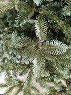 Brad artificial Christmas Deluxe by , Canada argintiu, 3D, 210cm