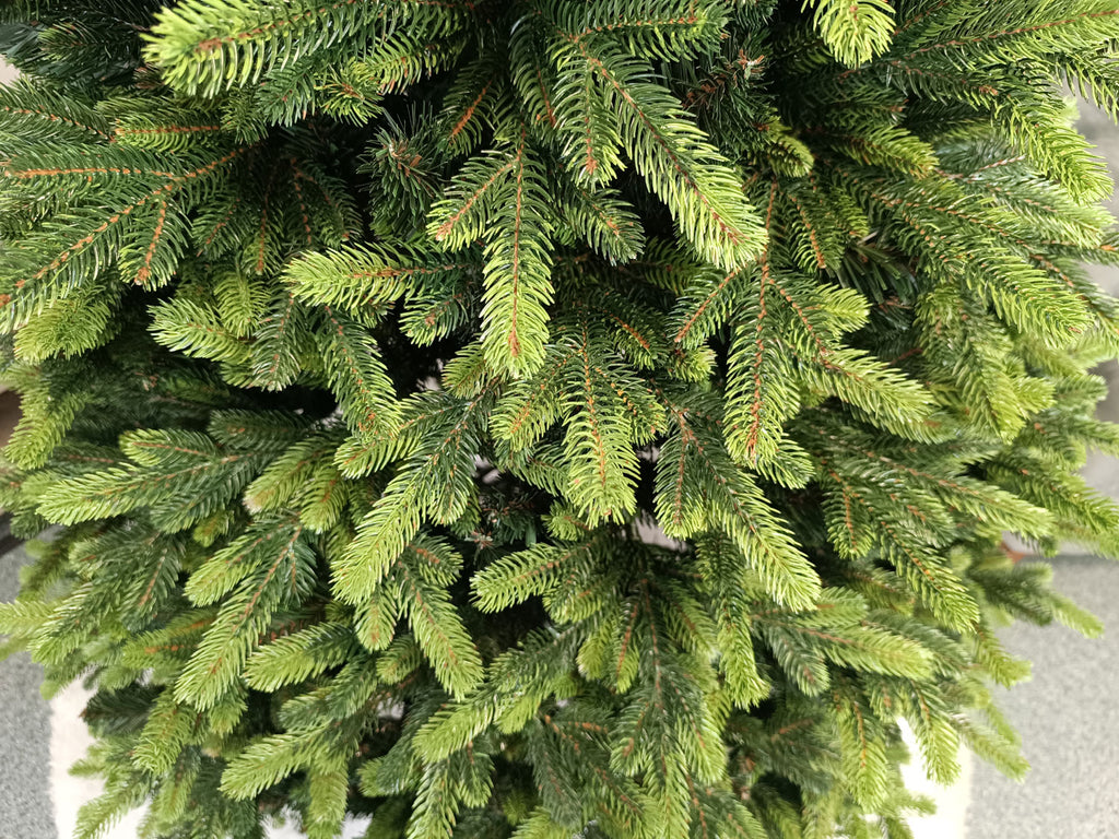 Brad artificial Christmas Deluxe by , Carpati cu varfuri verzi, 2D+3D, 210cm