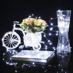 (DL) Instalatie lumina decorativa cu 300 LED-uri, telecomanda, 30m, iluminare alba