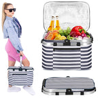 Geanta pentru picnic sau plaja, termoizolanta, 28 litri, alb albastru