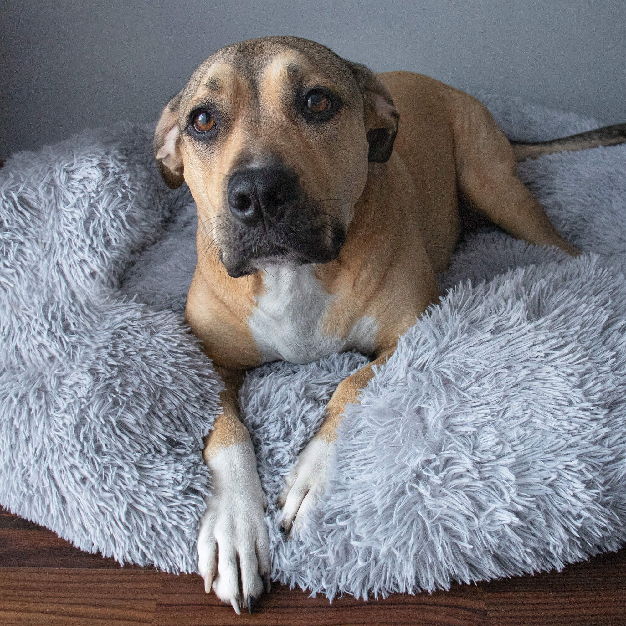 Pat  pentru caini si pisici, cu husa detasabila, gri, diametru 60cm