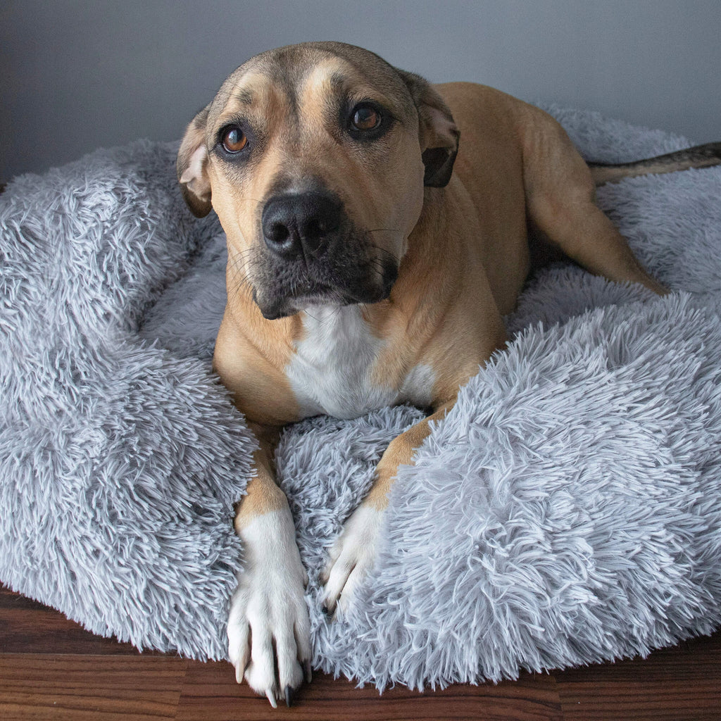 Pat  pentru caini si pisici, cu husa detasabila, gri, diametru 80cm