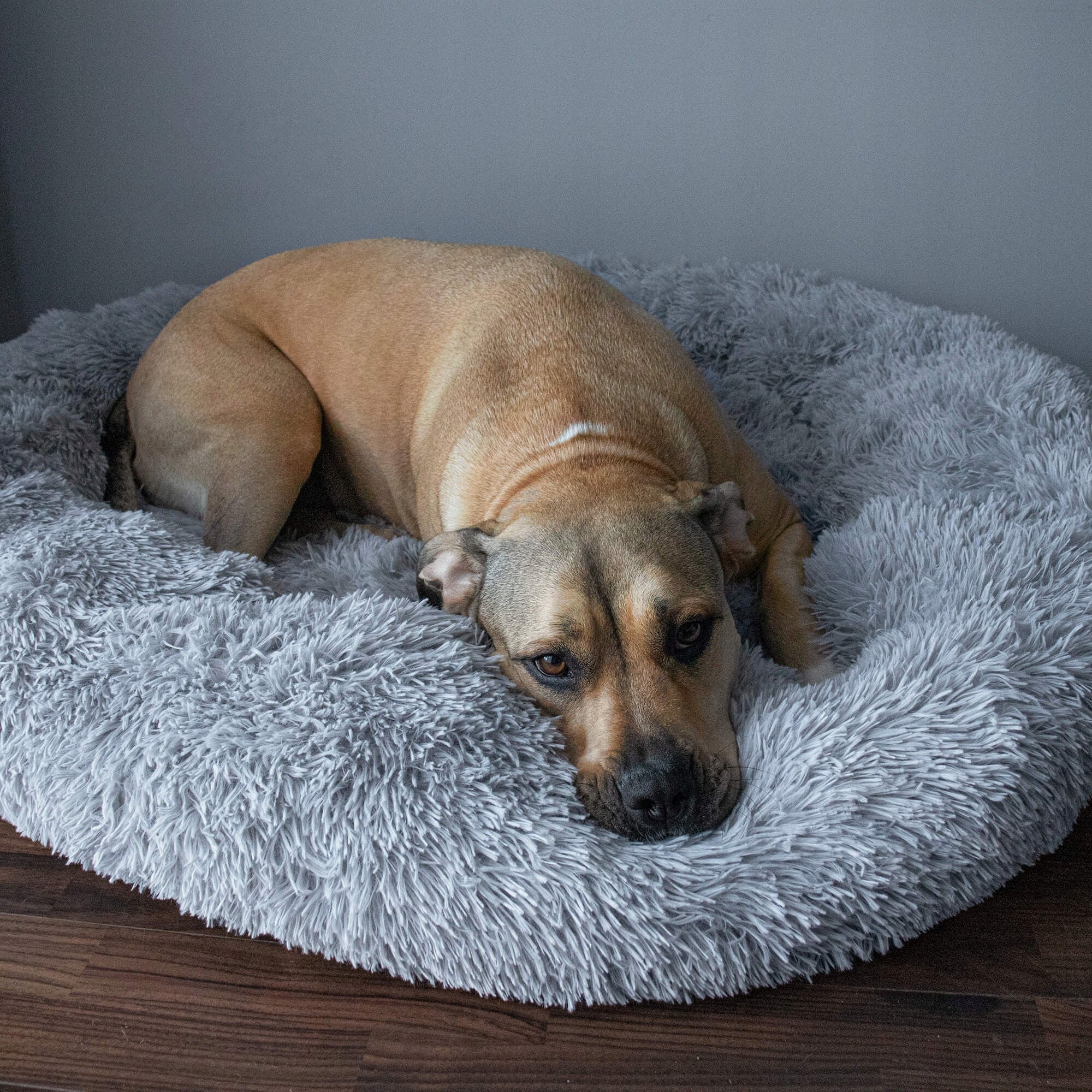 Pat  pentru caini si pisici, cu husa detasabila, gri, diametru 90cm