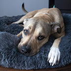 Pat  pentru caini si pisici, cu husa detasabila, gri inchis, diametru 80cm