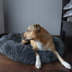 Pat  pentru caini si pisici, cu husa detasabila, gri inchis, diametru 80cm