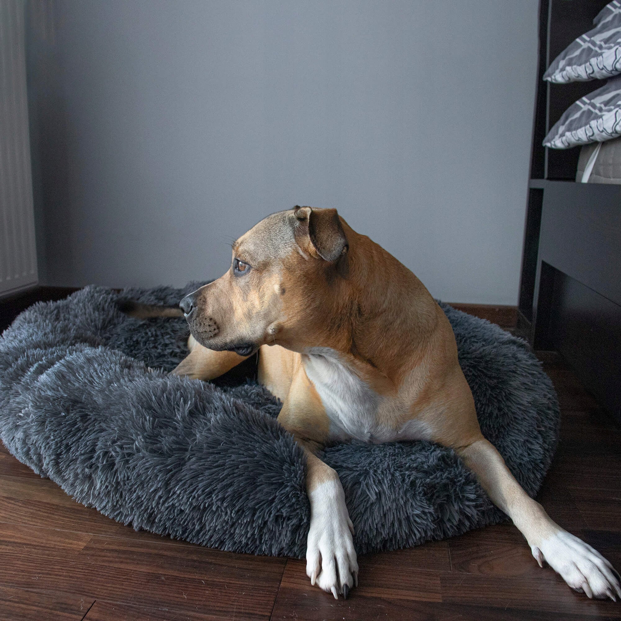 Pat  pentru caini si pisici, cu husa detasabila, gri inchis, diametru 80cm