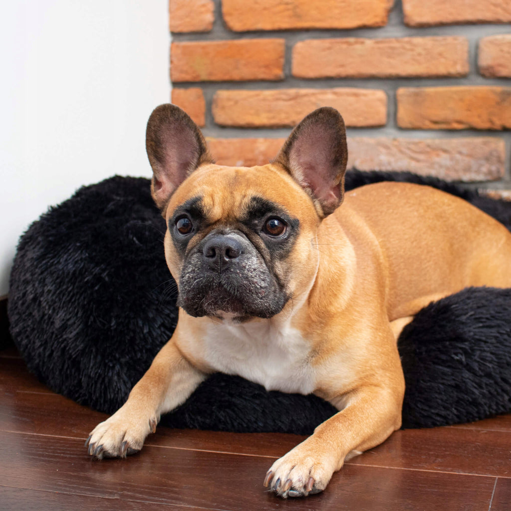 Pat  pentru caini si pisici, cu husa detasabila, negru, 40cm