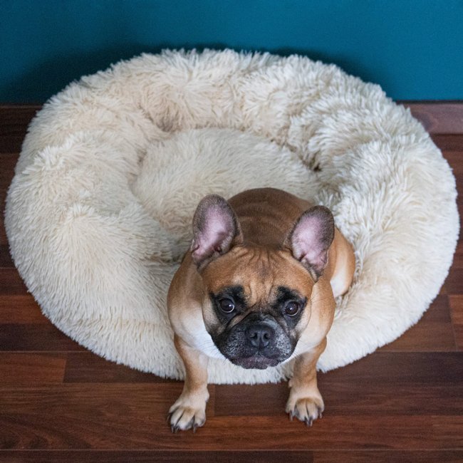 Pat  pentru caini si pisici, cu husa detasabila, bej, diametru 90cm