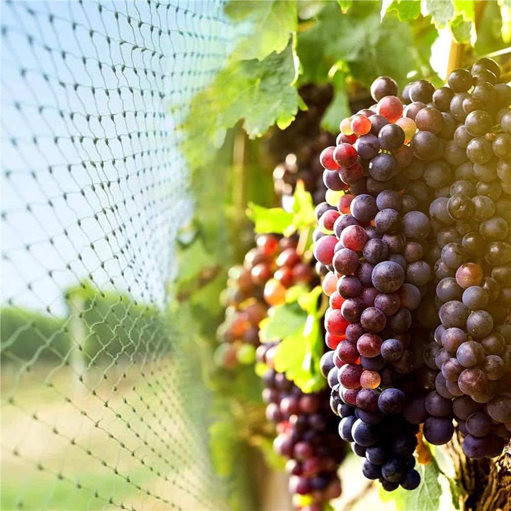 Plasa anti pasari 4x5m din polietilena, verde