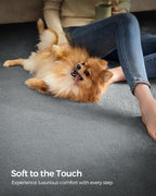 SONGMICS Covor decorativ antiderapant, lavabil la masina, 200×290 cm, gri