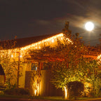 Ghirlanda luminoasa tip perdea cu flash 500 LED-uri, 20m, pentru interior/exterior, iluminare galbena