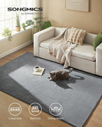 SONGMICS Covor decorativ antiderapant, lavabil la masina, 160×230 cm, gri