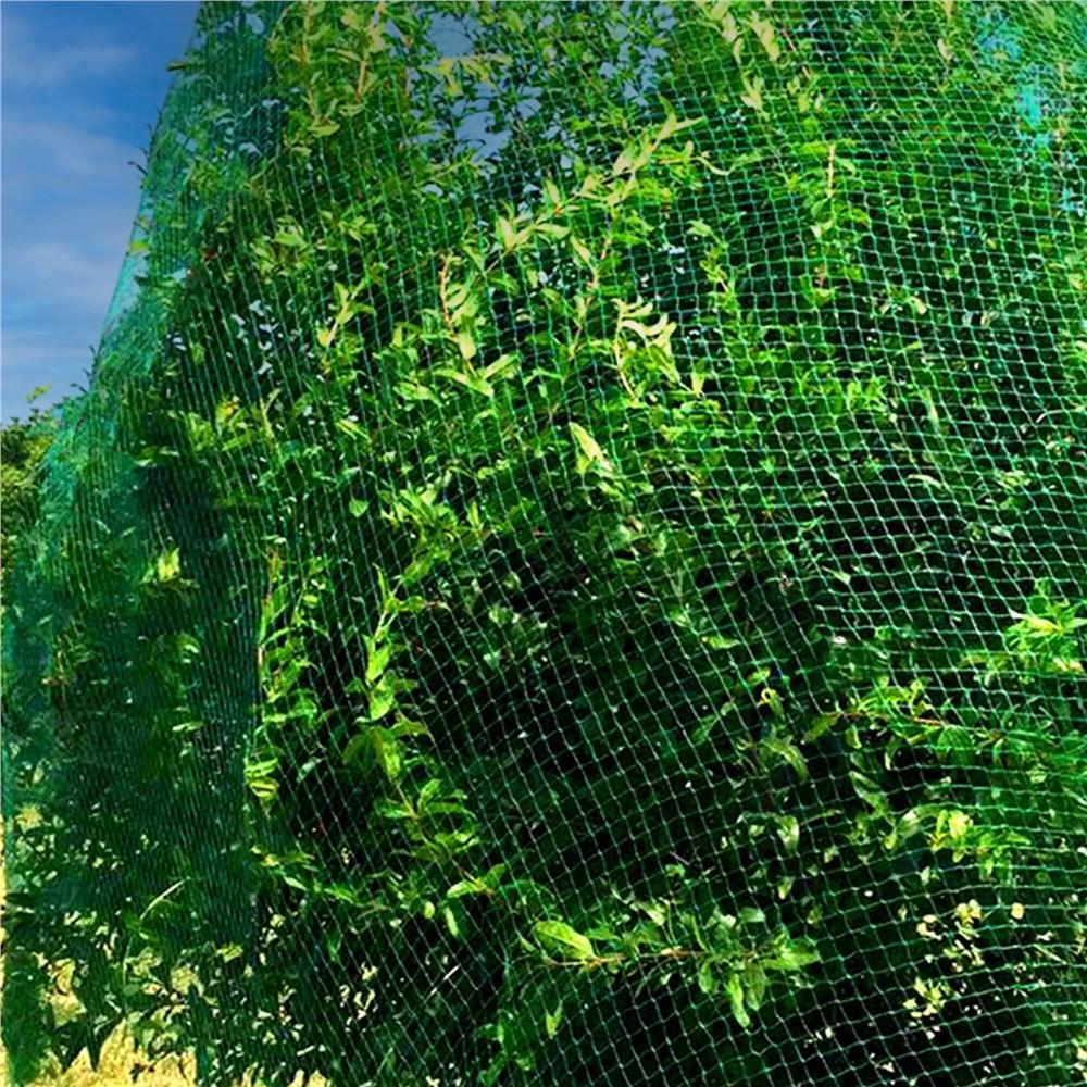 Plasa anti pasari 4x5m din polietilena, verde