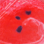 Umbrela de plaja pliabila,  BU020, 180cm, pepene verde