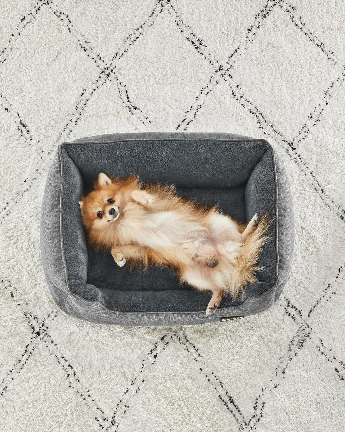 FEANDREA Pat pentru caini, cu margini groase ridicate, antiderapant, husa detasabila, marime M, 70x55x21 cm, gri