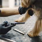 Set de ingrijire pentru animale de companie, cu 4 foarfece pentru tuns si accesorii