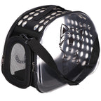 Geanta pentru transport animale de companie pisica sau catel, M, 42x26x32 cm, transparent