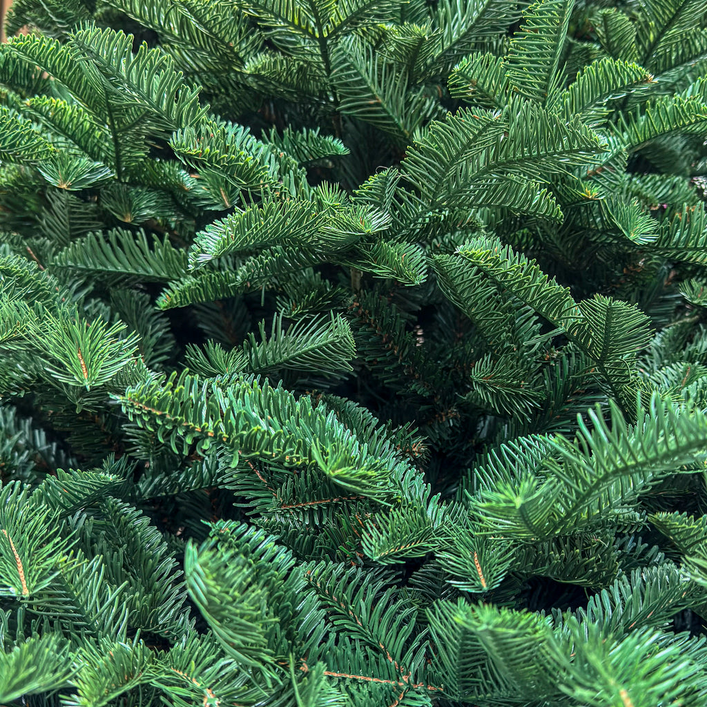 Brad artificial , Alaska, verde, mix 2D+3D, 210 cm