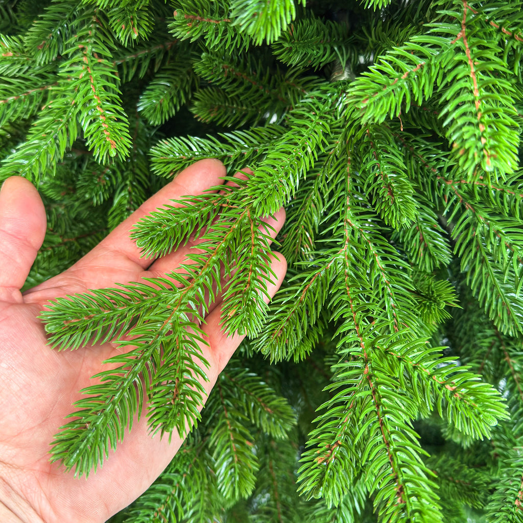 Brad artificial , Alindra Elite, verde, integral 3D, 210 cm