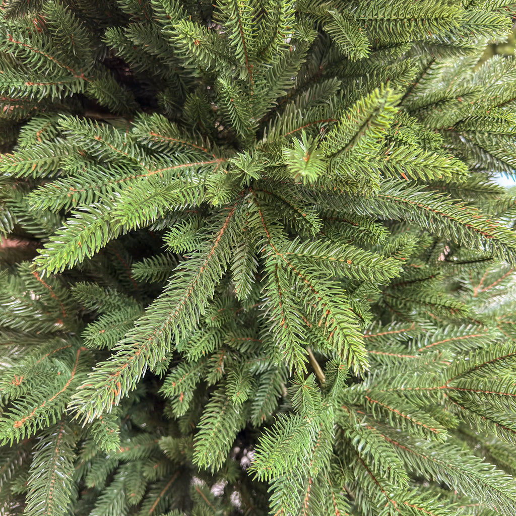 Brad artificial , Alpine, verde, integral 3D, 210 cm