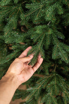 Brad artificial Christmas Deluxe by , Alpin Select, integral 3D, 250 cm