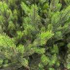 Brad artificial , Hollandia, verde cu varfuri verzi, integral 3D, 210 cm