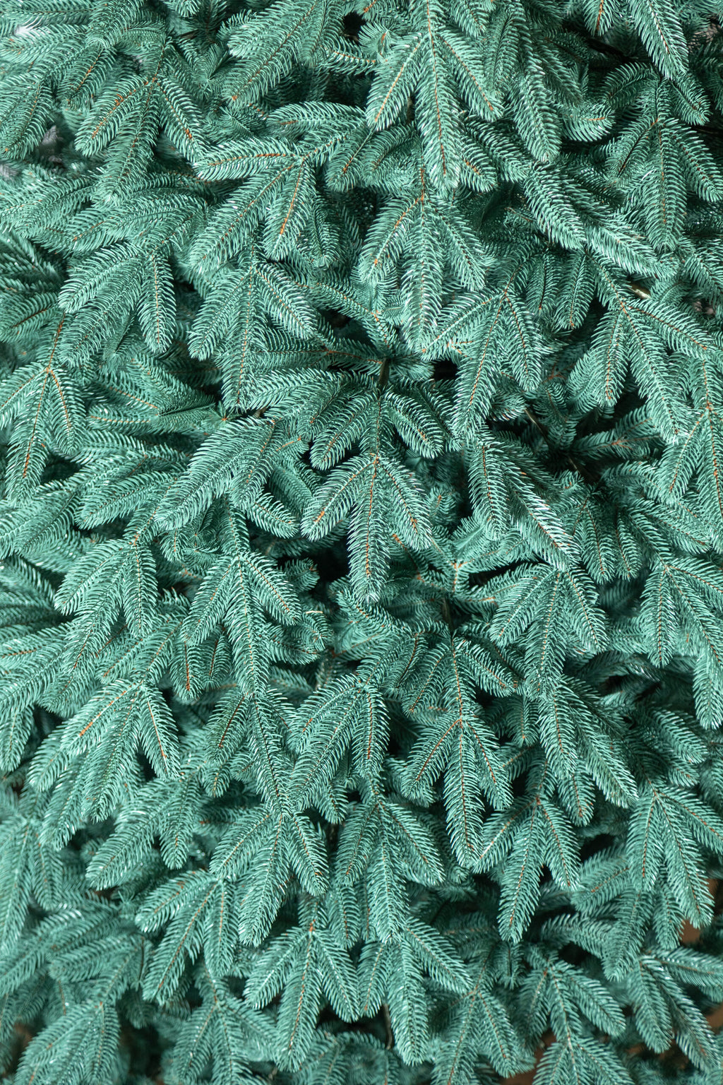 Brad artificial Christmas Deluxe by , Laponia Select argintiu, integral 3D, 230cm