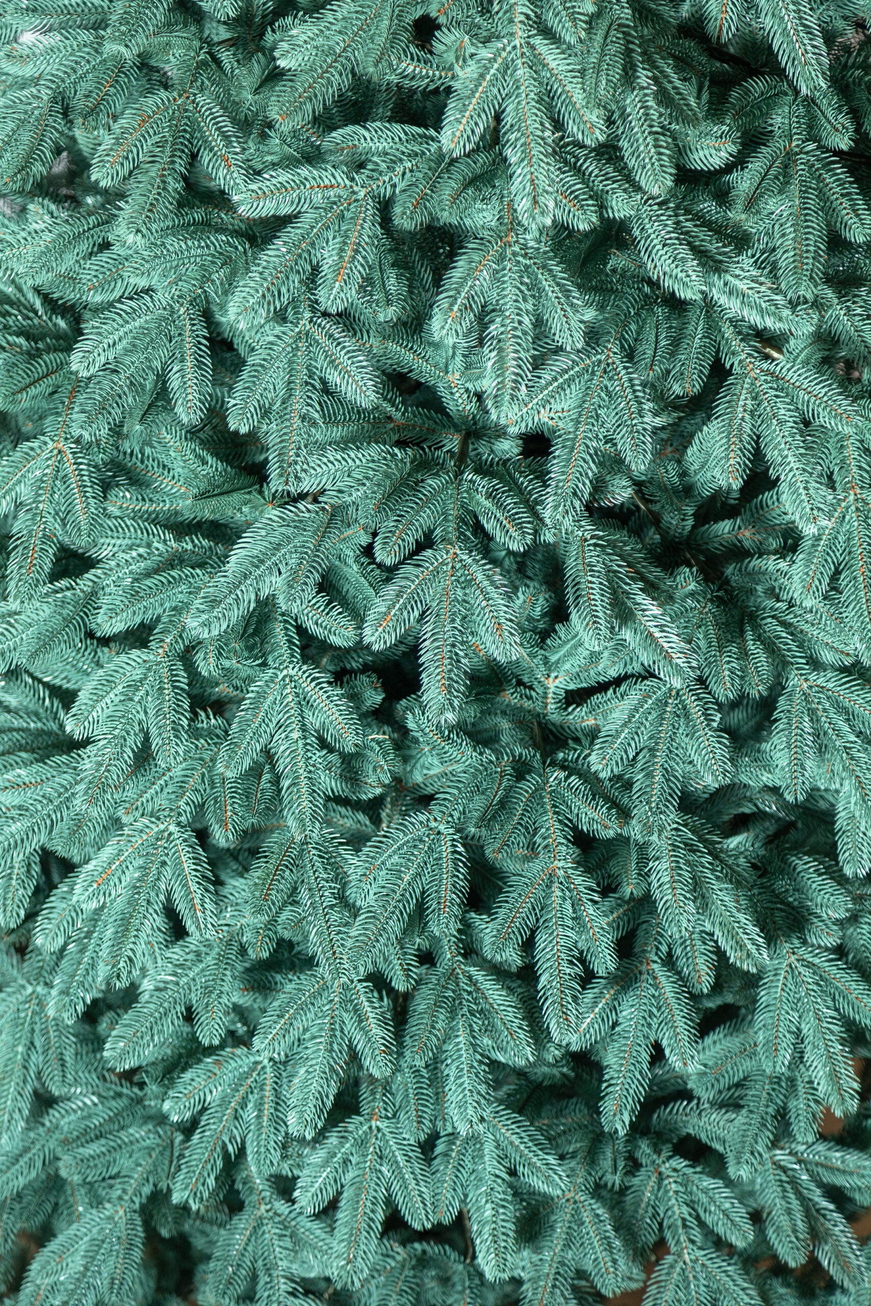 Brad artificial Christmas Deluxe by , Laponia Select argintiu, integral 3D, 230cm