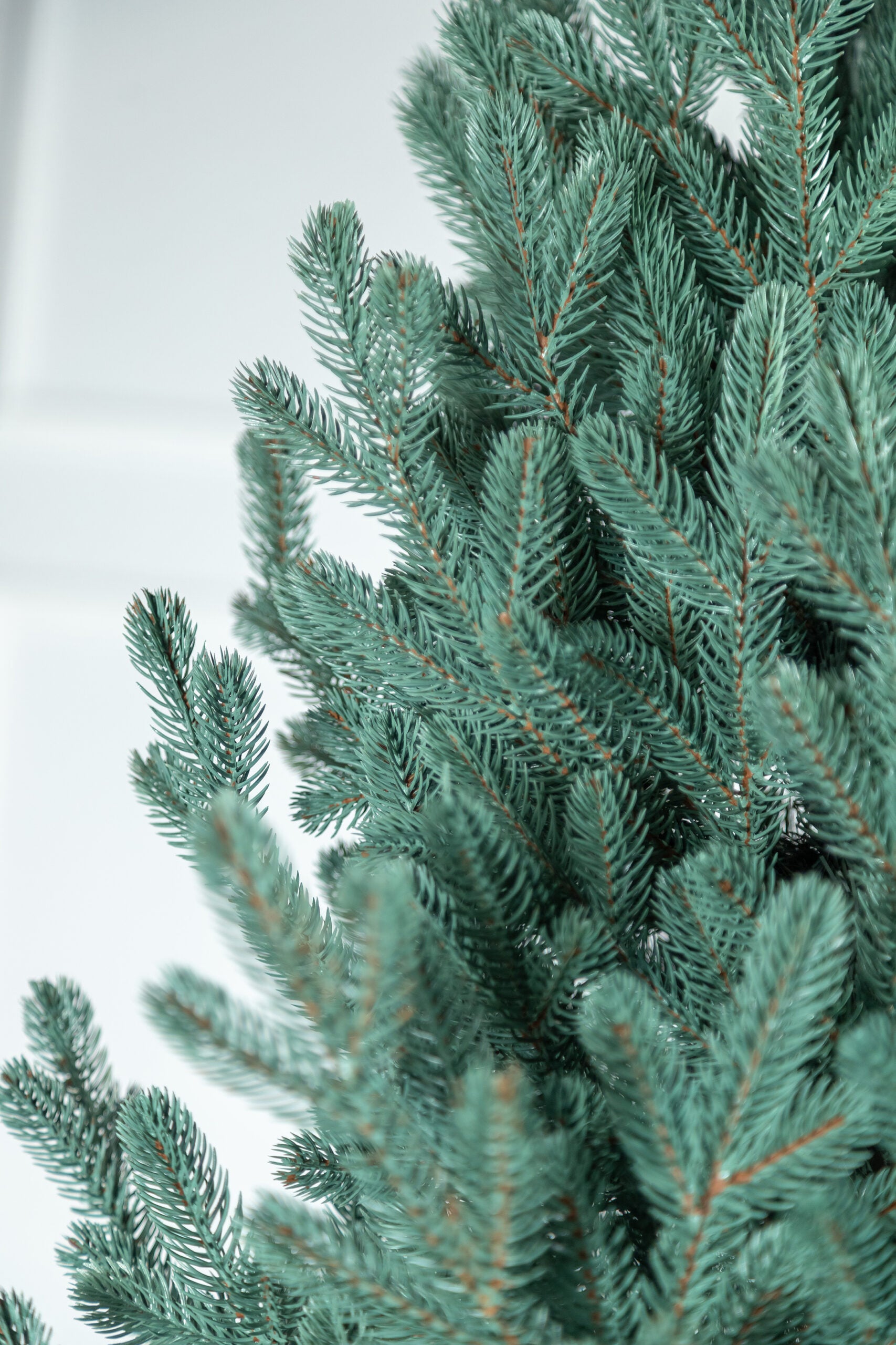 Brad artificial Christmas Deluxe by , Viena Select argintiu, integral 3D, 230cm