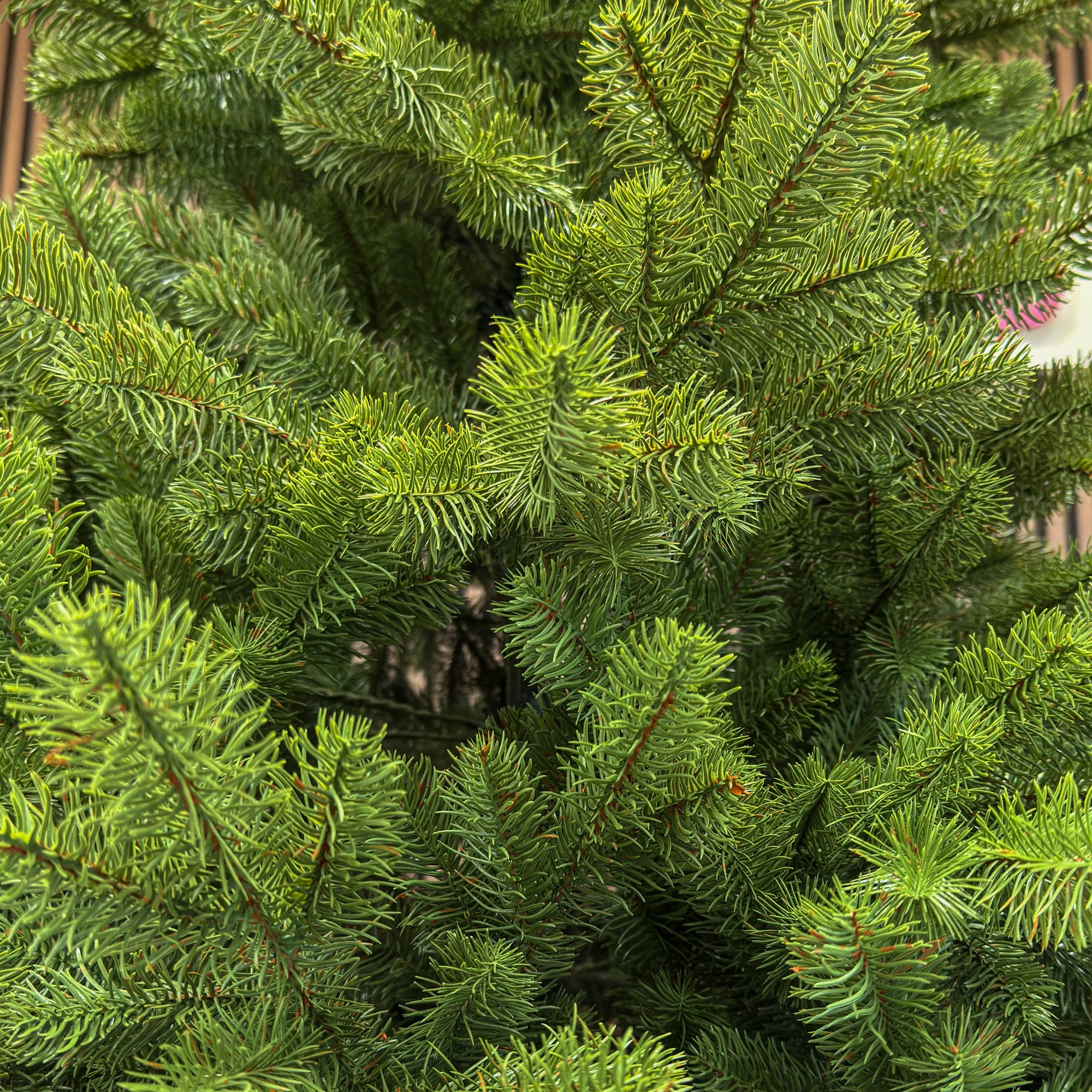 Brad artificial , Silvee Elite, verde, integral 3D, 180 cm