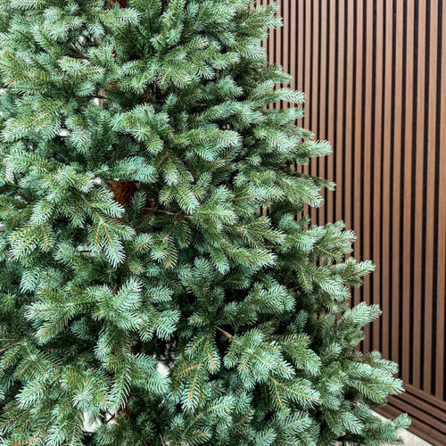 Brad artificial , Scandinavia, verde cu varfuri argintii, integral 3D, 210 cm