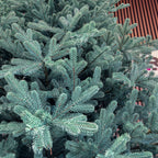 Brad artificial Christmas Deluxe by , Viena Select argintiu, integral 3D, 250 cm