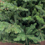 Brad artificial Christmas Deluxe by , Viena Select, integral 3D, 250 cm