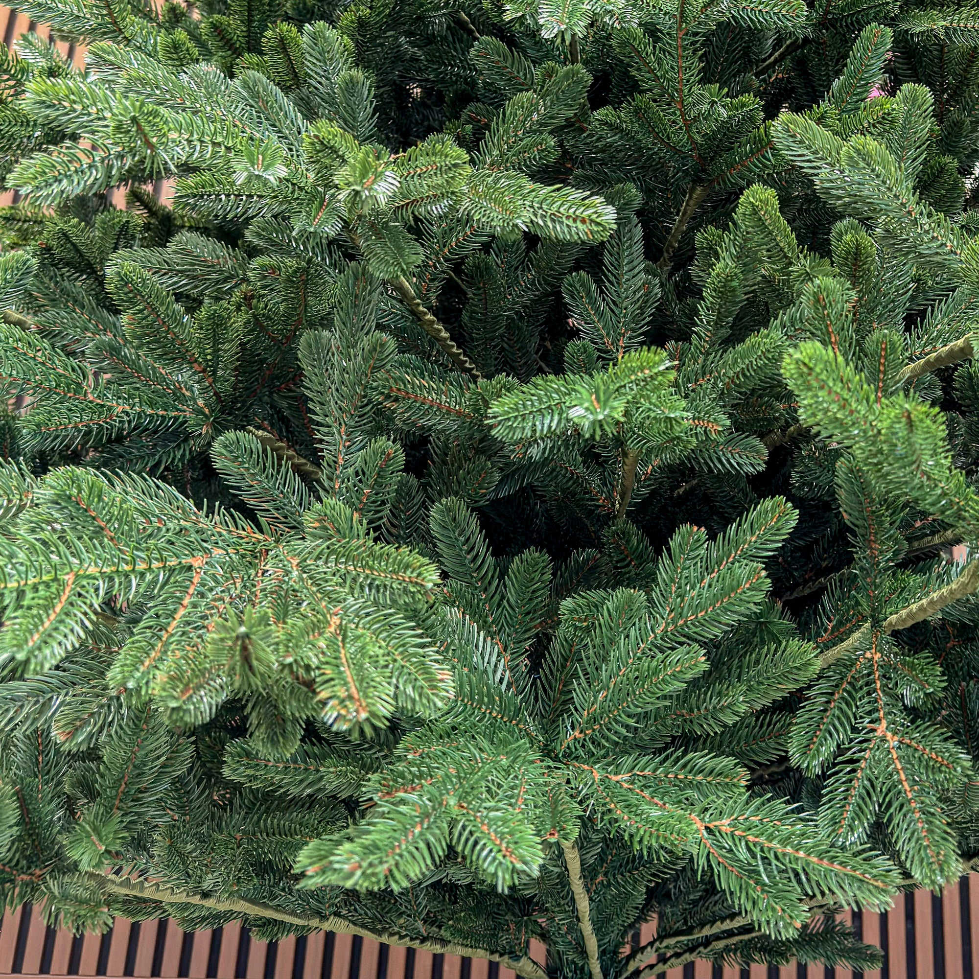 Brad artificial Christmas Deluxe by , Viena Select, integral 3D, 300 cm