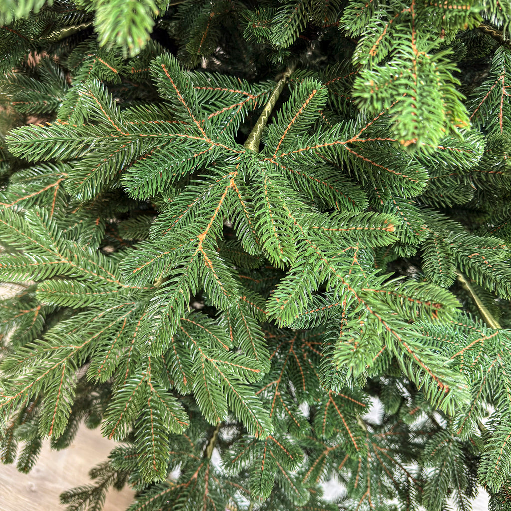 Brad artificial Christmas Deluxe by , Viena Select, integral 3D, 300 cm