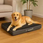 Pat ortopedic pentru caini, dreptunghiular, husa detasabila, 90x70x10 cm, gri inchis