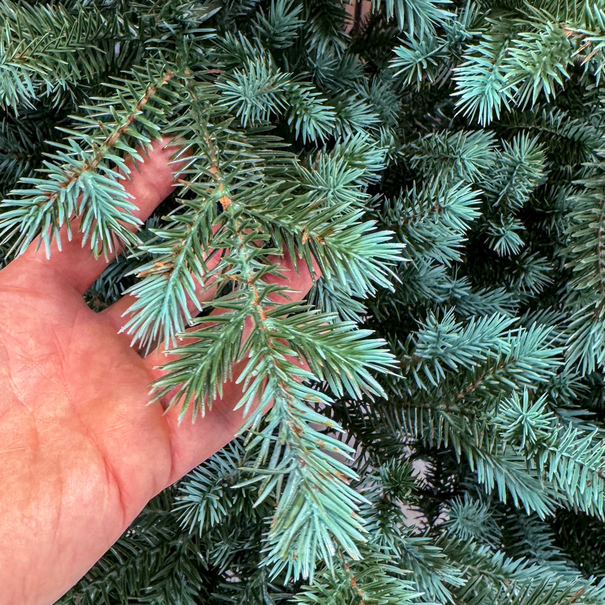 Brad artificial , Scandinavia, verde cu varfuri argintii, integral 3D, 210 cm